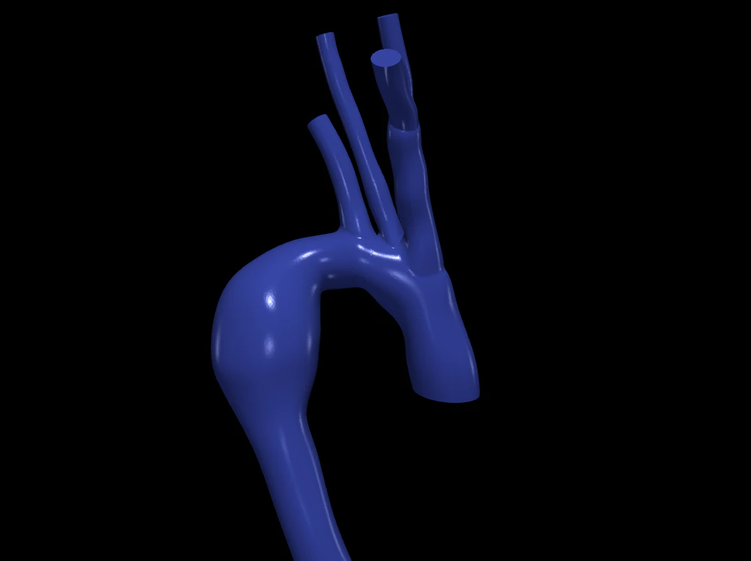 Aorta 3D Model .c4d .max .obj .3ds .fbx .stl .blend 