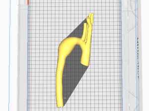 Aorta 3Dモデル