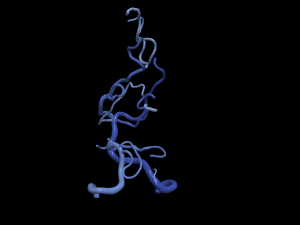 Cerebrovascular system Modelo 3D
