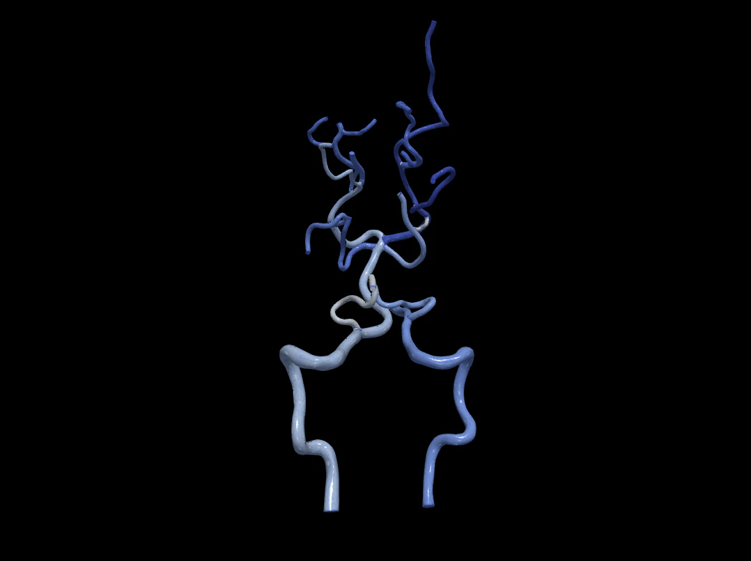 Cerebrovascular system 3D Model .c4d .max .obj .3ds .fbx .stl .blend 