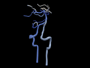 Cerebrovascular system Modello 3D