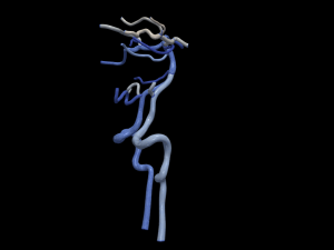 Cerebrovascular system Modello 3D