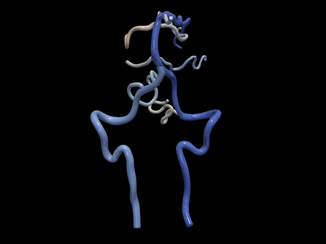 Cerebrovascular system 3D Model .c4d .max .obj .3ds .fbx .stl .blend 