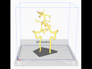 Cerebrovascular system Modelo 3D