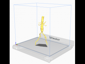Aortofemoral 3D Model