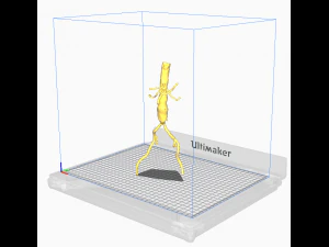 股主动脉 3D 模型