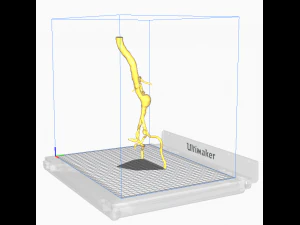 Aortofemoral 3D Model