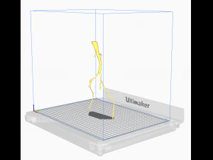 Aortofemoral 3D Modell