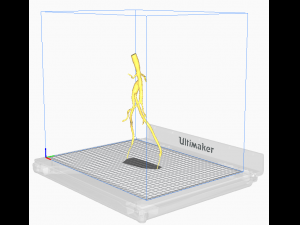 Aortofemoral Modelo 3D