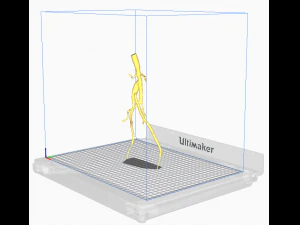Aortofemoral 3D Model