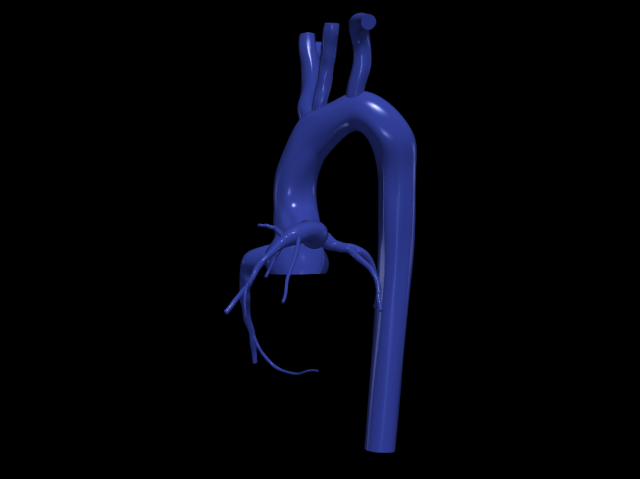 Coronary arteries and aorta 3D 모델 .c4d .max .obj .3ds .fbx .stl .blend 