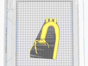 Coronary arteries and aorta Modèle 3D