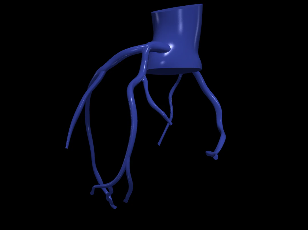 Coronary arteries 3D Model .c4d .max .obj .3ds .fbx .stl .blend