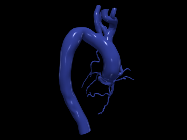 Coronary arteries and aorta 3D Модель .c4d .max .obj .3ds .fbx .stl .blend 