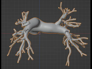 Lungenarterien 3D Modell