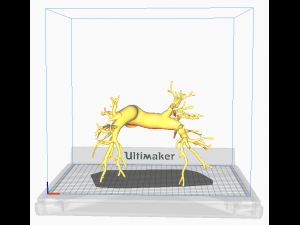 Pulmonary arteries 3D Model