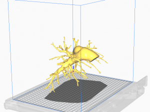 Pulmonary arteries 3D Model