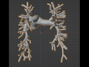 Pulmonary arteries Modèle 3D