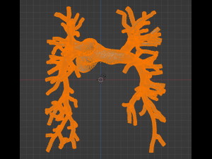 Pulmonary arteries Modèle 3D