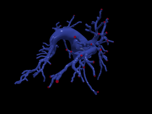 Pulmonary arteries Modelo 3D