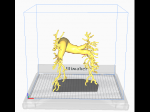 Pulmonary arteries Modelo 3D