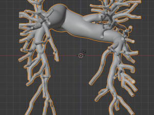 Pulmonary arteries Modelo 3D