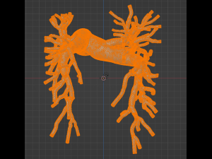 Pulmonary arteries Modelo 3D