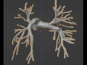 Pulmonary arteries 3D Model