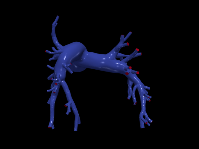 Pulmonary arteries 3D 모델 .c4d .max .obj .3ds .fbx .stl .blend 