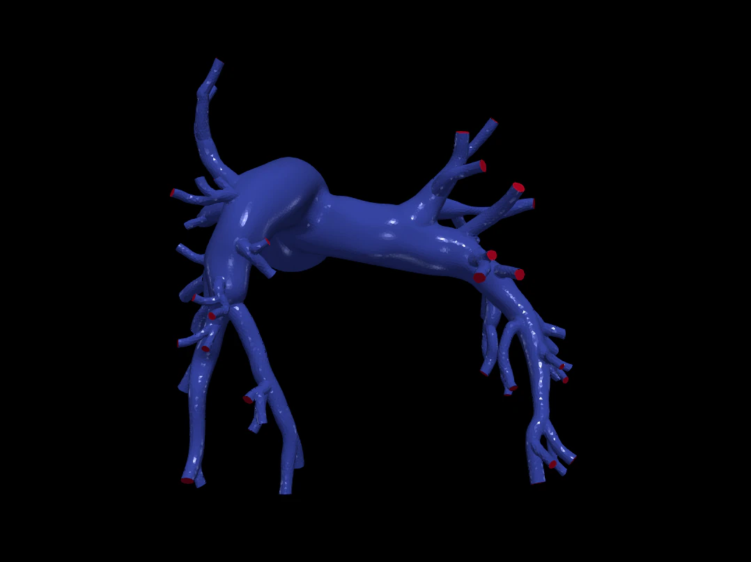 Pulmonary arteries 3D Model .c4d .max .obj .3ds .fbx .stl .blend 
