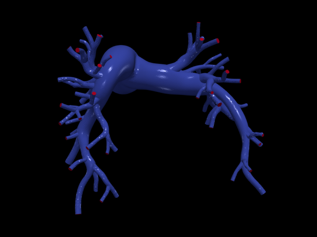 Pulmonary arteries 3D Model .c4d .max .obj .3ds .fbx .stl .blend 