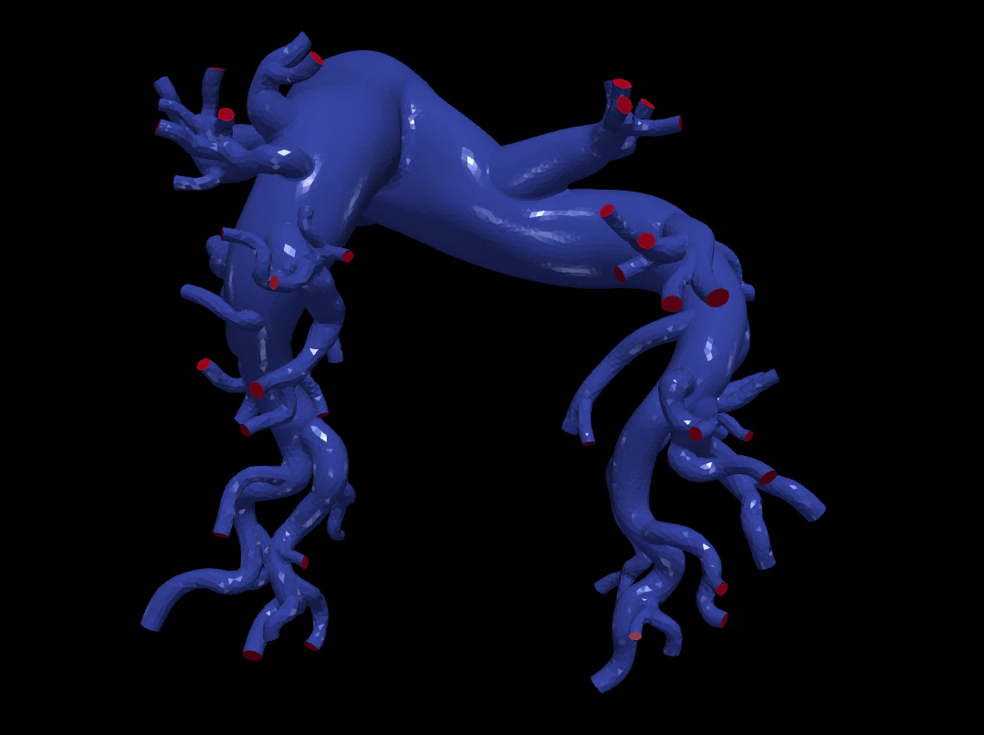 Pulmonary arteries 3D Model .c4d .max .obj .3ds .fbx .stl .blend