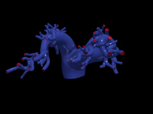 Pulmonary arteries 3D Model