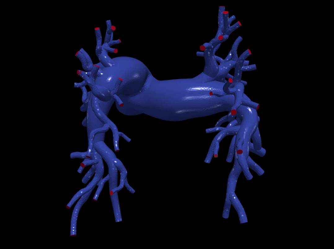 Pulmonary arteries 3D Model .c4d .max .obj .3ds .fbx .stl .blend 
