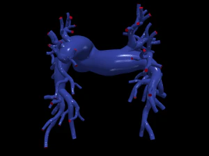 Легочные артерии 3D Модель
