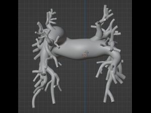 Pulmonary arteries Model 3D