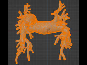 Pulmonary arteries Model 3D