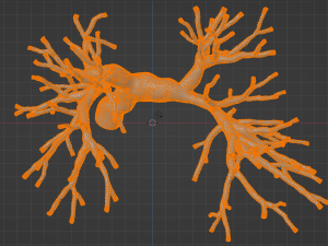 Pulmonary arteries 3D Model