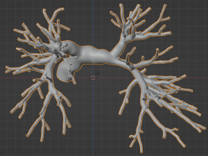 Pulmonary arteries 3D Model