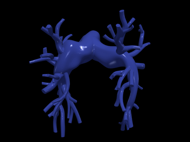 Pulmonary arteries 3D Модель .c4d .max .obj .3ds .fbx .stl .blend 
