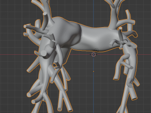 Pulmonary arteries 3D Модель
