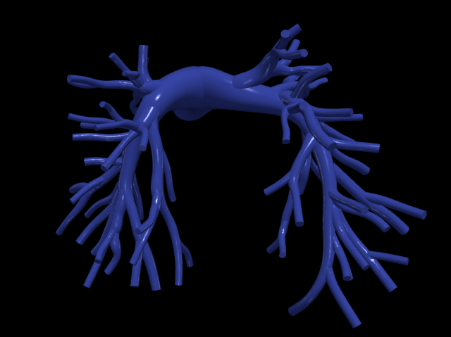 Pulmonary arteries 3D Model .c4d .max .obj .3ds .fbx .stl .blend 