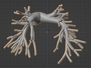 Pulmonary arteries 3D Model