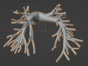Pulmonary arteries 3D Model