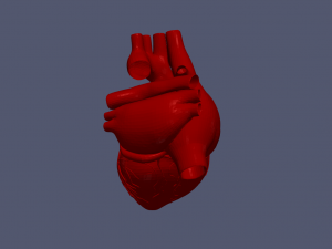Heart 3D 모델