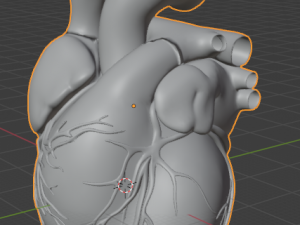 Heart 3D 모델