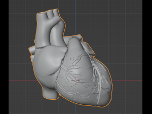 Heart 3D 모델