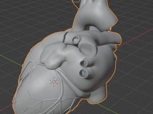 Heart 3D 모델