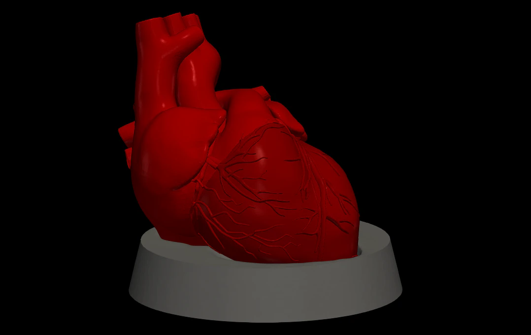 Heart with stand 3D Model .c4d .max .obj .3ds .fbx .stl .blend 