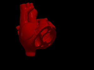 Heart with stand 3D Model
